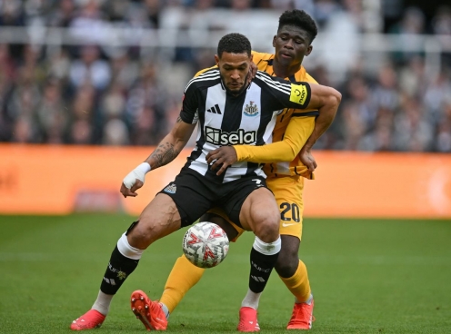 Nhận định Brighton vs Newcastle: Giữ vững top 3