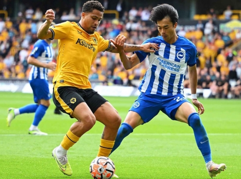 Nhận định Wolves vs Brighton: Cân tài cân sức