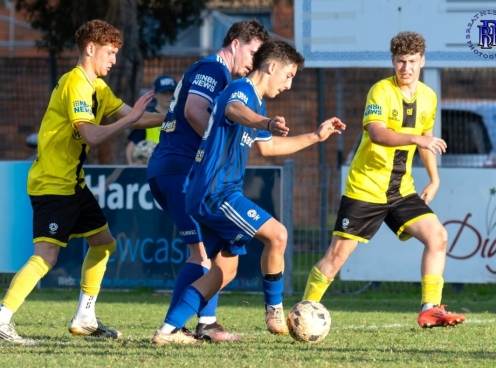 Nhận định Newcastle Olympic vs Edgeworth Eagles: Đội khách lấn lướt