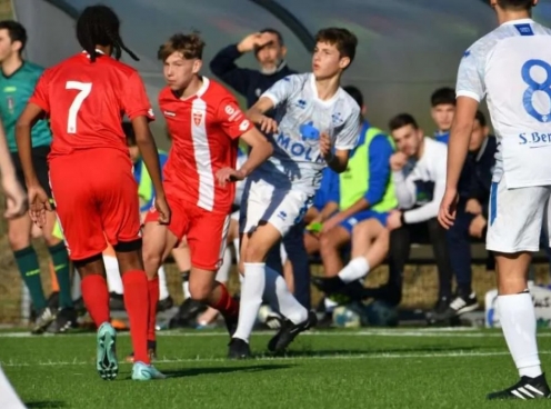 Nhận định Monza vs AlbinoLeffe: Chủ nhà áp đảo