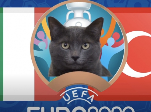 Mèo tiên tri dự đoán Thổ Nhĩ Kỳ vs Italia: Bất ngờ đầu tiên?