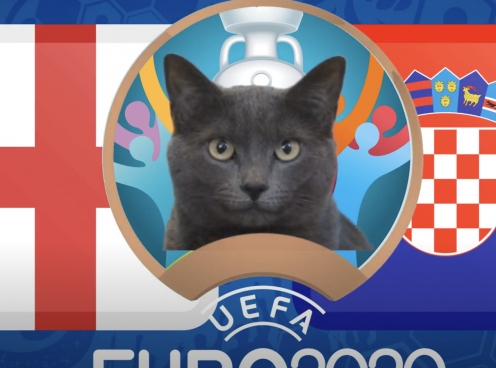 Mèo tiên tri dự đoán Anh vs Croatia: Kẻ mạnh chưa chắc đã thắng