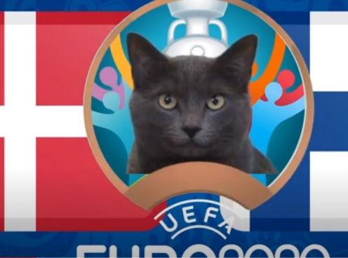 Mèo tiên tri dự đoán Đan Mạch vs Phần Lan: Bất phân thắng bại