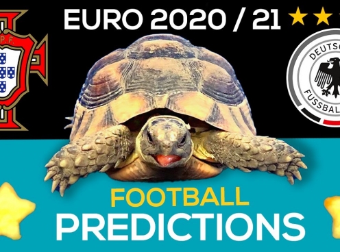 Thần Rùa tiên tri dự đoán bất ngờ kết quả Bồ Đào Nha vs Đức