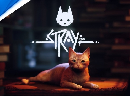 Hóa thân thành phượt thủ mèo đi khắp muôn phương trong tựa game Stray