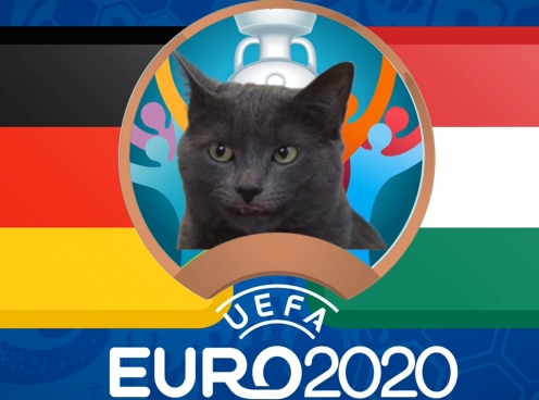 Mèo tiên tri dự đoán Đức vs Hungary: Thắng lợi nhọc nhằn