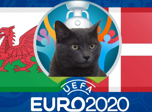 Mèo tiên tri dự đoán Xứ Wales vs Đan Mạch: Thắng lợi kịch tính