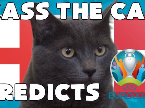 Mèo tiên tri dự đoán kết quả Anh vs Đan Mạch: 'Cửa trên' chắc thắng