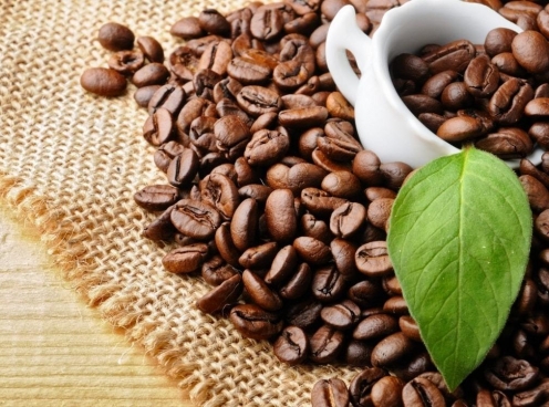 Giá cà phê hôm nay 22/5: Khó giữ mốc 125.000 đồng/kg