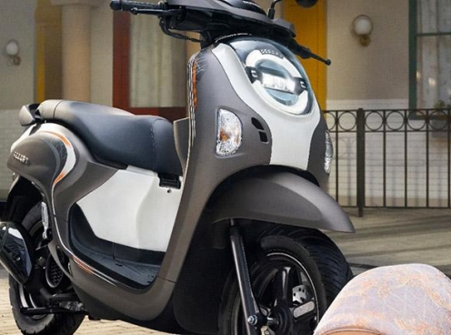 Honda Scoopy 2025: Phiên bản mới hứa hẹn hấp dẫn người tiêu dùng Việt