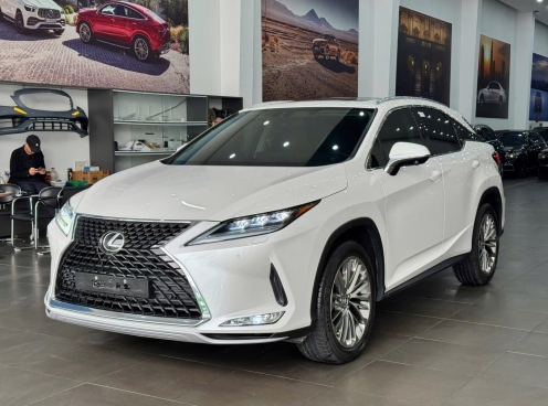 Lăn bánh hơn 2 vạn kilomet, Lexus RX300 2021 gây chú ý với mức khấu hao 'khiêm tốn'