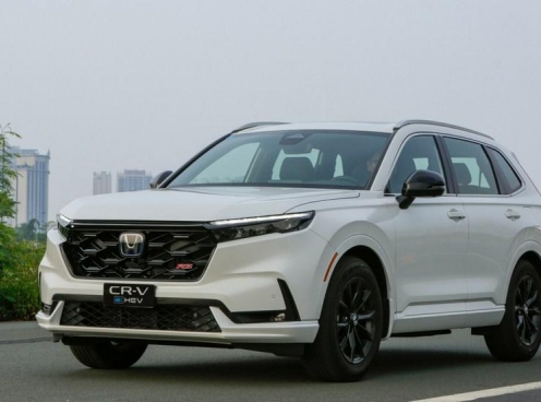Toyota thống trị bảng xếp hạng xe hybrid tháng 6, Suzuki âm thầm vươn lên