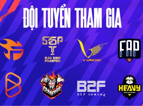 Danh sách 8 đội tuyển tham dự ĐTDV Mùa Đông 2021