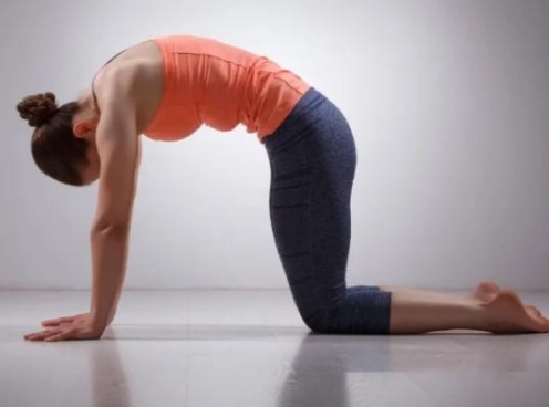 Những tư thế tập yoga giảm cân bạn có thể thực hiện hàng ngày