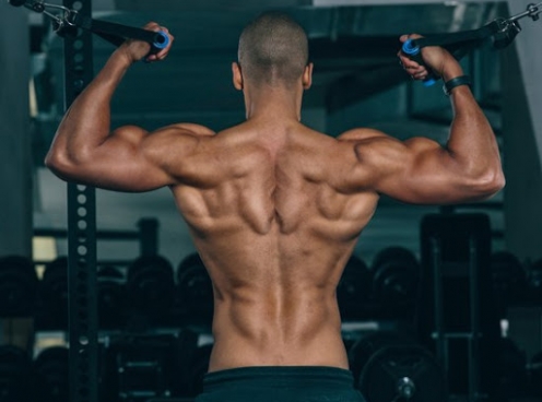 5 bài tập xây dựng cơ lưng xô tốt nhất cho nam giới