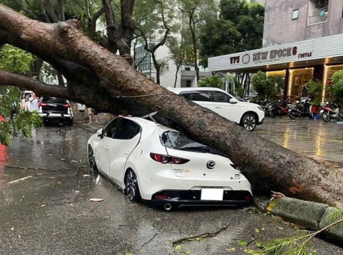 Mùa mưa bão đến gần: Cẩn trọng với đường ngập và cây đổ khi lái xe
