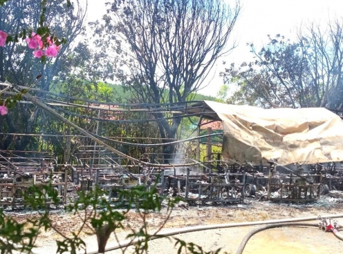 Cháy lớn tại bãi xe chùa Hương Tích: 9 xe điện du lịch và 1 ô tô con bị thiêu rụi