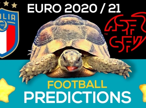 Thần Rùa tiên tri dự đoán kết quả Italia vs Thụy Sĩ: Chiến thắng cho kẻ mạnh?