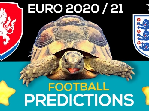 Thần Rùa tiên tri dự đoán kết quả CH Séc vs Anh: Định đoạt ngôi đầu