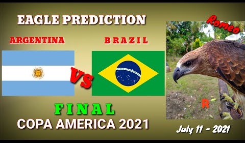Thần điêu dự đoán Brazil vs Argentina: Thắp sáng hy vọng