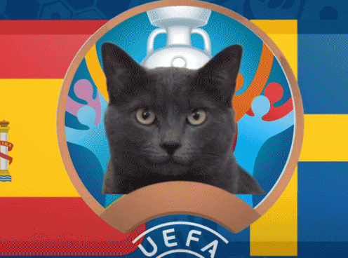 Mèo tiên tri dự đoán Tây Ban Nha vs Thụy Điển: Đẳng cấp lên tiếng
