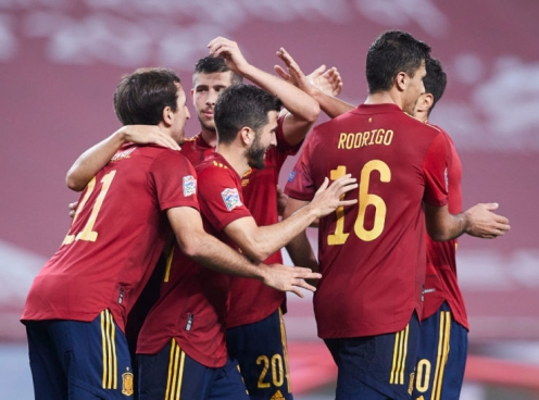 Mèo tiên tri dự đoán kết quả trận Tây Ban Nha vs Ba Lan: Cú sốc lớn!
