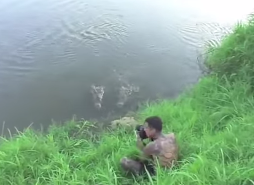 VIDEO: Suýt bị cá sấu 'làm thịt' vì chủ quan