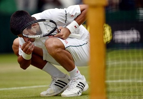 VIDEO: Djokovic gặm cỏ để ăn mừng chức vô địch Wimbledon 2015