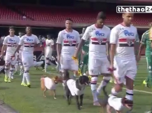 VIDEO: Hài hước CLB của Kaka dắt chó ra sân để làm nghi lễ trước trận đấu
