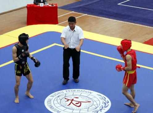 Wushu Việt Nam giành 4HCV châu Á, Tuấn Đức/Như Thảo vượt khó