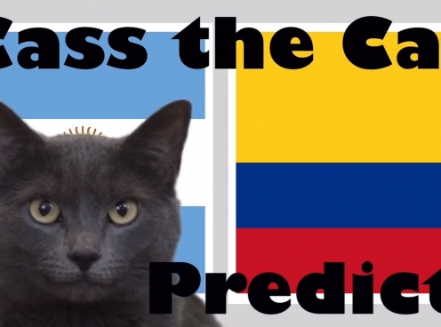 Mèo tiên tri dự đoán kết quả Argentina vs Colombia: Nhận định khó lường