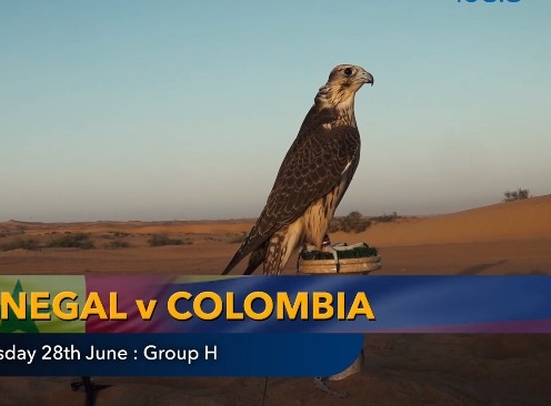 Nhà tiên tri dự đoán kết quả Senegal vs Colombia: Sẽ có bất ngờ?