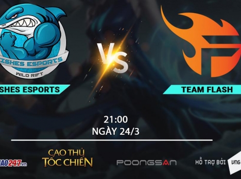 Fish Esports vs Team Flash: Tứ kết là 'cá mập', bán kết thành 'cá con'?