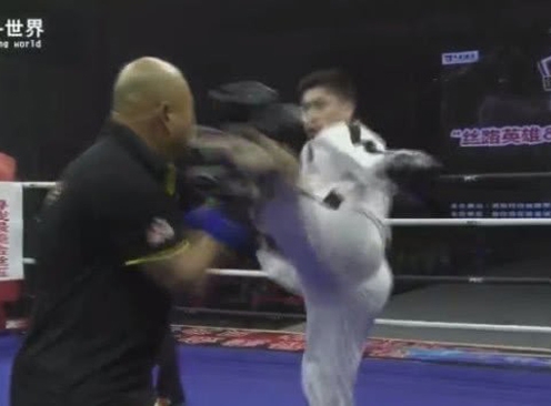 Cao thủ Thái Cực Quyền lại bại trận trước võ sĩ taekwondo