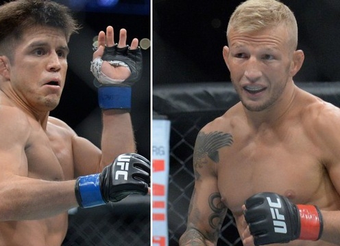 TJ Dillashaw 'được trả cả đống tiền để diệt Flyweight', Henry Cejudo rời UFC nếu bỏ hạng cân này? 