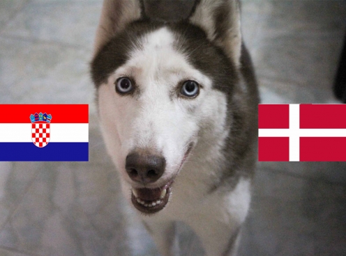 Chó tiên tri Loki dự đoán kết quả Croatia vs Đan Mạch