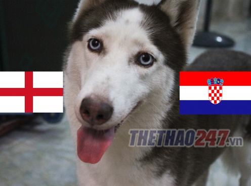 Tiên tri Loki tái xuất, dự đoán kết quả World Cup: Anh vs Croatia