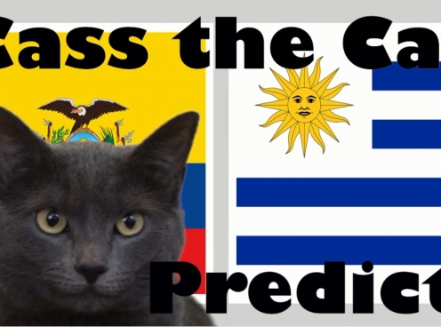 Mèo tiên tri dự đoán Uruguay vs Ecuador: Mở màn bảng C bất ngờ