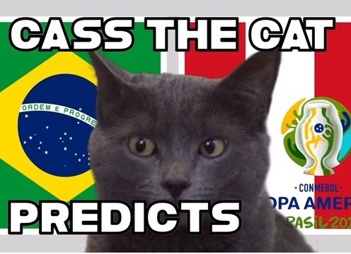 Mèo tiên tri dự đoán kết quả Brazil vs Peru: Đáng để chờ đợi