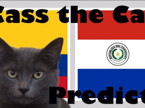 Mèo tiên tri dự đoán kết quả Colombia vs Paraguay, 02h00 ngày 24/6