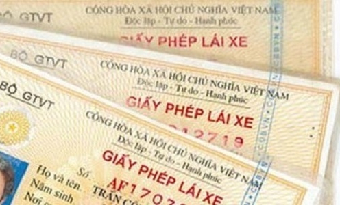Các loại giấy phép lái xe tại Việt Nam: Quy định và thời hạn