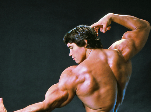 6 mẹo tập gym từ kẻ hủy diệt Arnold Schwarzenegger
