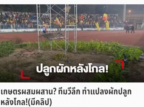 Báo Thái mỉa mai khi CLB V.League dùng SVĐ để trồng rau