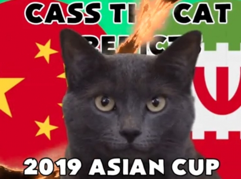 VIDEO: Mèo tiên tri dự đoán trận Trung Quốc vs Iran