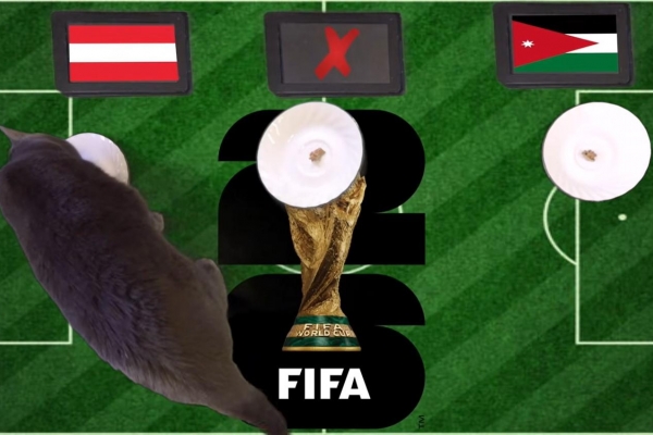 Mèo tiên tri dự đoán tỷ số Áo vs Jordan: Tân binh Jordan bị đè bẹp!