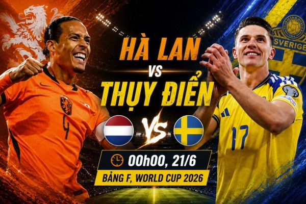Mèo tiên tri dự đoán tỷ số Hà Lan vs Thụy Điển: Khó có 3 điểm!