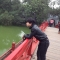 Thế Anh