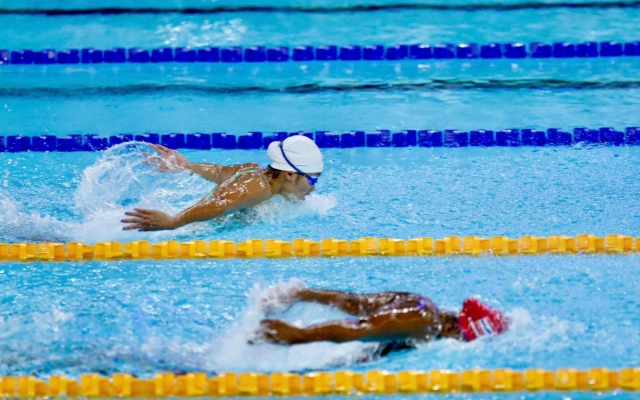 Bơi lội Việt Nam liên tục vào chung kết, chờ giành thêm HCV