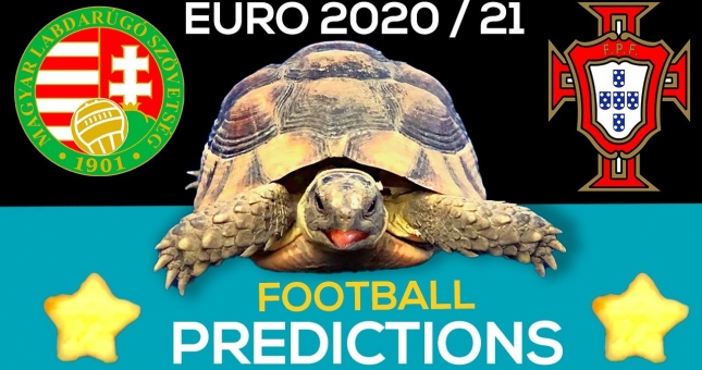 tiên tri dự đoán Hungary vs Bồ Đào Nha - thethao247.vn