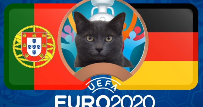 Mèo tiên tri dự đoán kết quả Bồ Đào Nha vs Đức: Lựa chọn tối ưu!